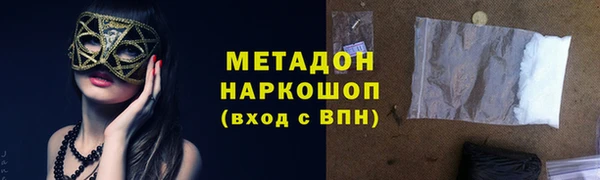 прущие грибы Пестово