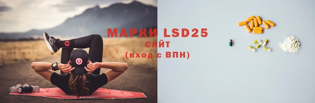 прущие грибы Пестово