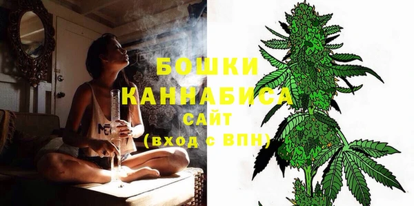 прущие грибы Пестово