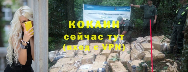 прущие грибы Пестово