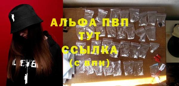 прущие грибы Пестово