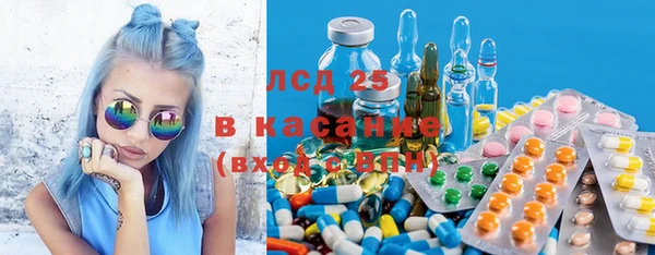 прущие грибы Пестово