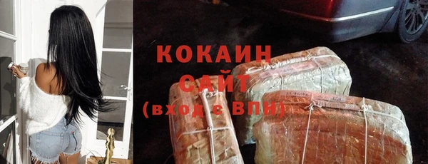 прущие грибы Пестово