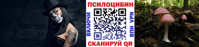 Псилоцибиновые грибы Psilocybe Костомукша