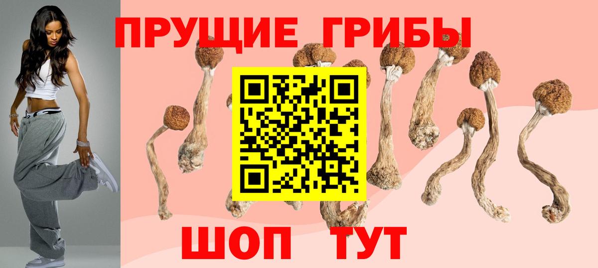 Галлюциногенные грибы MAGIC MUSHROOMS Костомукша
