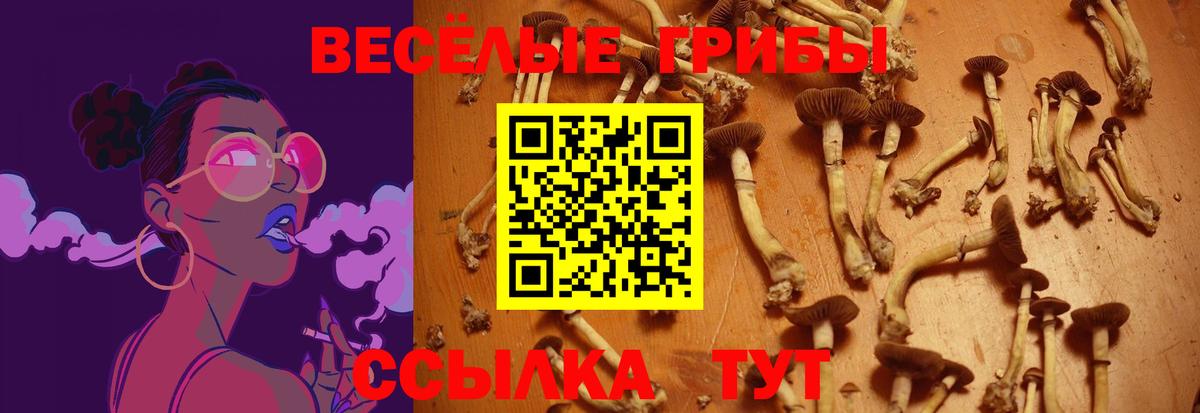 Галлюциногенные грибы MAGIC MUSHROOMS  Псилоцибиновые грибы ЛСД  Вход с VPN  Костомукша 